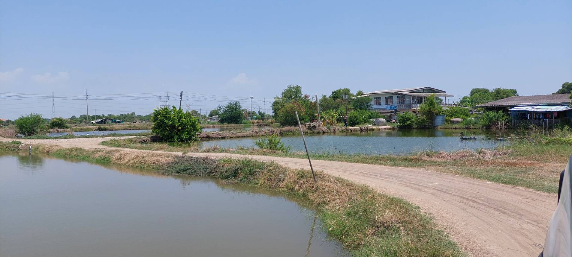 • ขาย ที่ดิน เนื้อที่ 8 ไร่ ถนนจรัญยานนท์ อำเภอบางปะกง ฉะเชิงเทรา • เป็นที่ดินบ่อกุ้ง/บ่อปลา อยู่ติดคลองสำโรง ใกล้ถนนบางนา-ตราด • เหมาะสำหรับธุรกิจบ่อตกปลา/ตกกุ้ง เลี้ยงปลาเลี้ยงกุ้ง หรือร้านอาหาร.