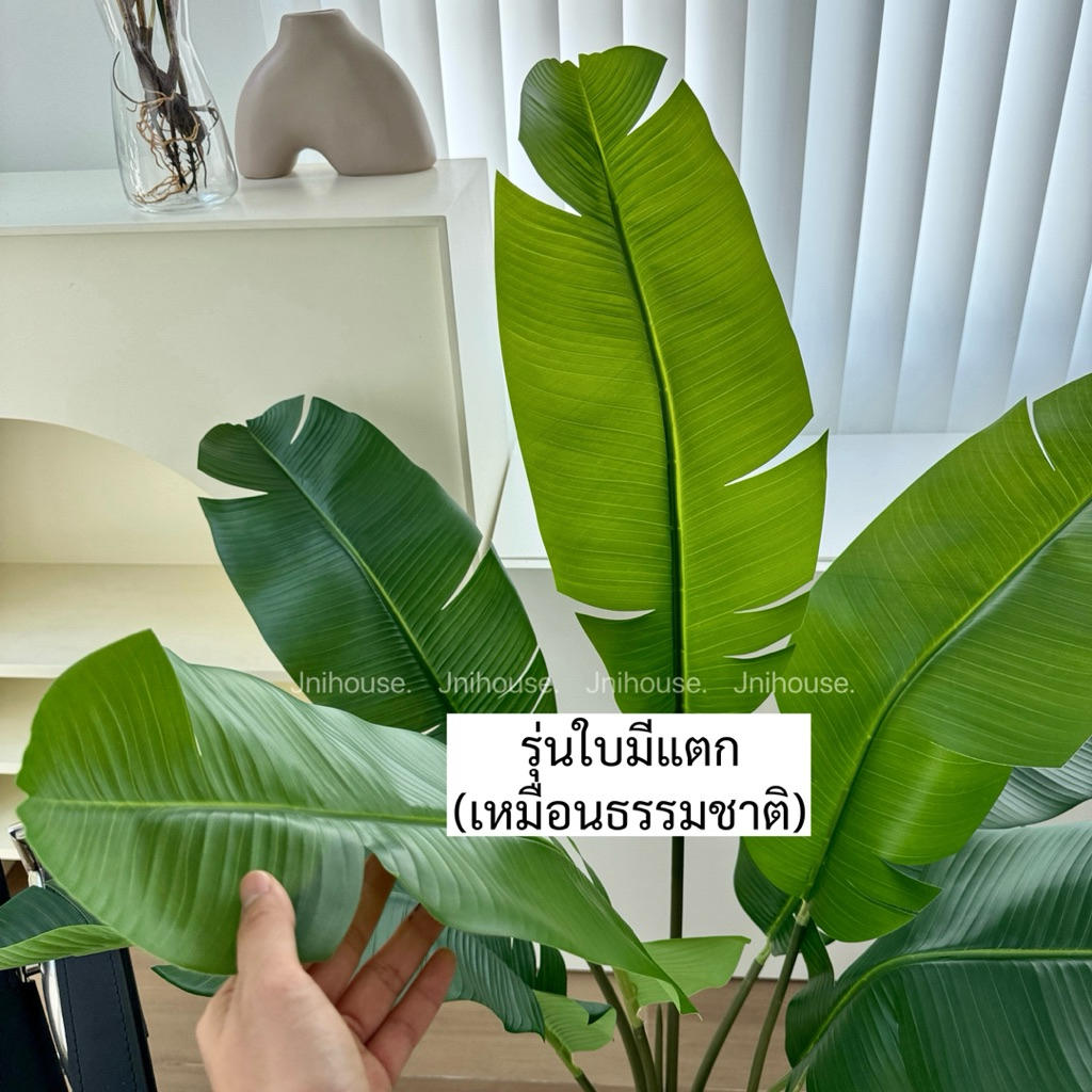 [พร้อมส่ง] Jnihouse : ต้นปักษาสวรรค์ประดิษฐ์(Tree) สูง 120 cm (รุ่นใบมีรอยแยก)