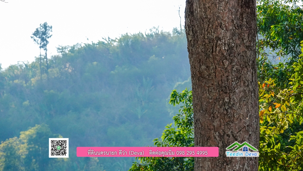 ที่ดินนครนายก แบ่งขายแปลงเล็ก ขนาด 210-803 ตร.ว. ใกล้แหล่งท่องเที่ยวจุดชมวิว