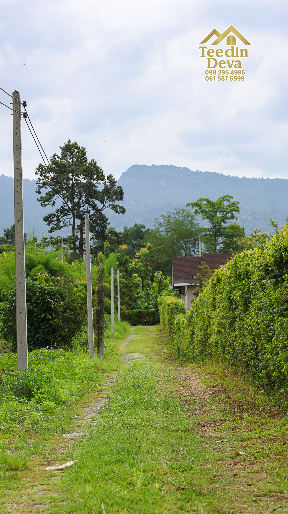 ที่ดินติดภูเขา เนินสวย พร้อมพัฒนารีสอร์ทหรือพูลวิลล่า 1 ไร่ ต.เขาพระ อ.เมือง จ.นครนายก 🏡