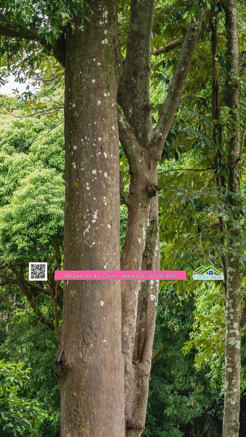 ที่ดินนครนายก ติดแม่น้ำ 14 ไร่ พื้นที่ติดแม่น้ำ 400 เมตร ชมลำธารสวยๆ บรรยากาศสบายๆ ต.สาริกา อ.เมือง จ.นครนายก