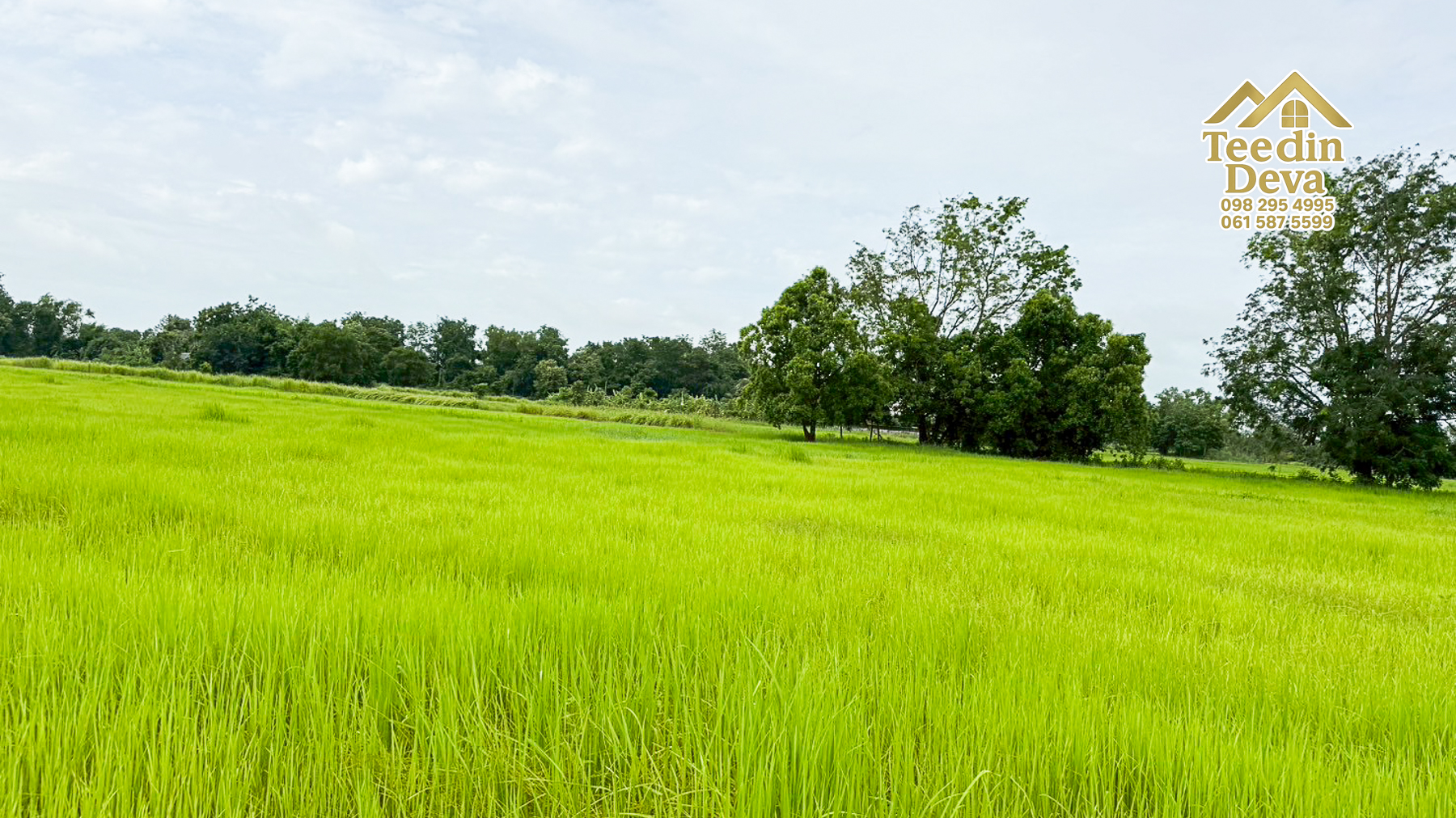 ที่ดินนครนายก ราคาถูก 100 ตรว พร้อมขุดโคกหนองนาให้ฟรี ต.ศรีนาวา อ.เมือง จ.นครนายก