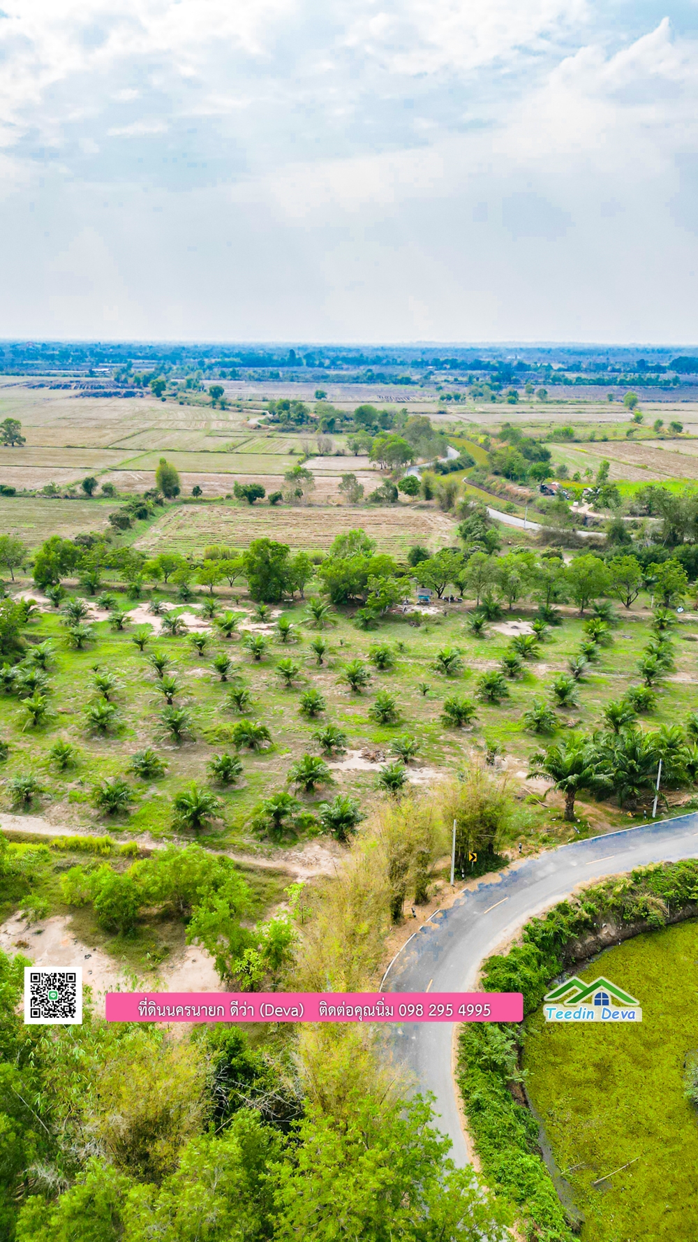 ขายที่ดิน สวนปาล์ม แปลงสวย ทำเลดี เนื้อที่ 11-3-8 ไร่ ให้ผลผลิตแล้ว อ.ปากพลี จ.นครนายก