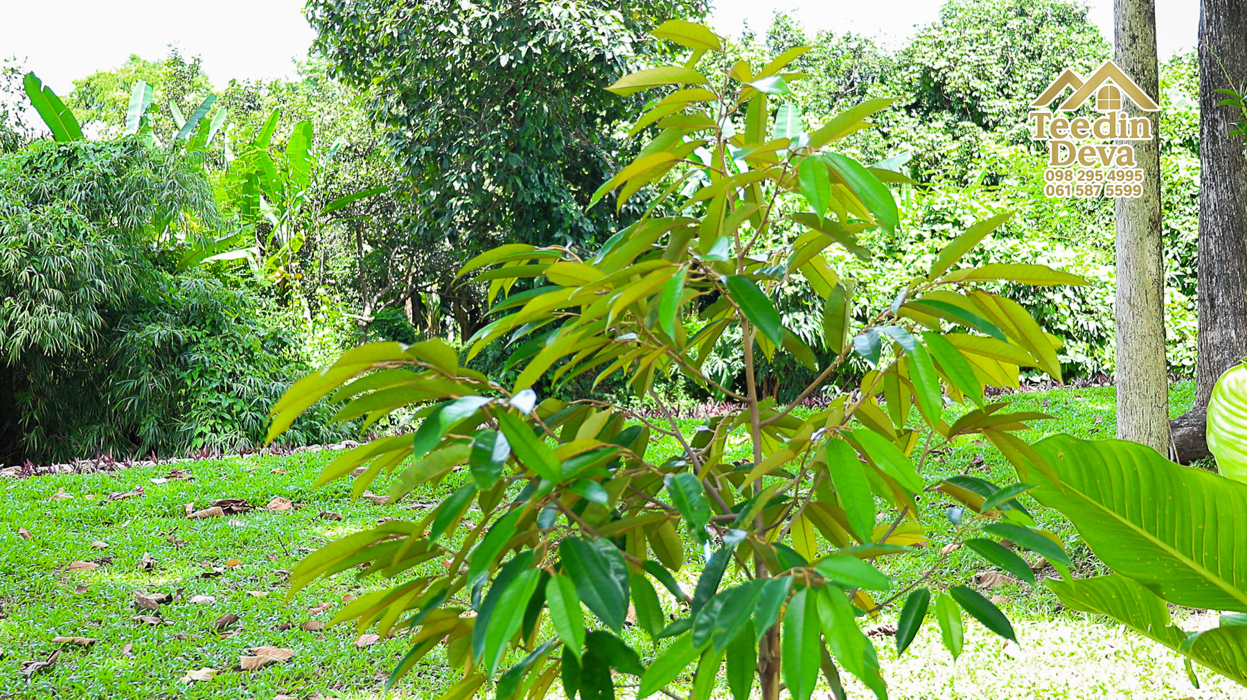 ðŋ āļāđāļēāļāļŠāļ§āļāđāļāļāļąāļ āļĢāļīāļĄāļĨāļģāļāļēāļĢ āļ§āļīāļ§āļ āļđāđāļāļēāļŠāļ§āļĒ â 821 āļāļĢ.āļ§. āļ.āļŠāļēāļĢāļīāļāļē āļ.āđāļĄāļ·āļāļ āļ.āļāļāļĢāļāļēāļĒāļ ðŋ