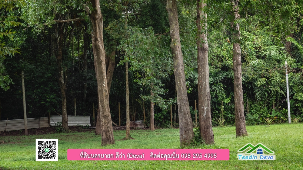 ที่ดินนครนายก ติดแม่น้ำ 14 ไร่ พื้นที่ติดแม่น้ำ 400 เมตร ชมลำธารสวยๆ บรรยากาศสบายๆ ต.สาริกา อ.เมือง จ.นครนายก