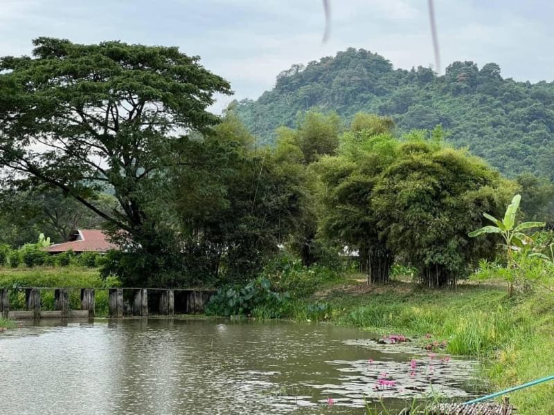 ที่ดินนครนายก วิวภูเขา ติดกับ ฝายทดน้ำ ถนนสาธาณะ พื้นที่ 516 ตร.ว. ต.เขาเพิ่ม อ.บ้านนา จ.นครนายก