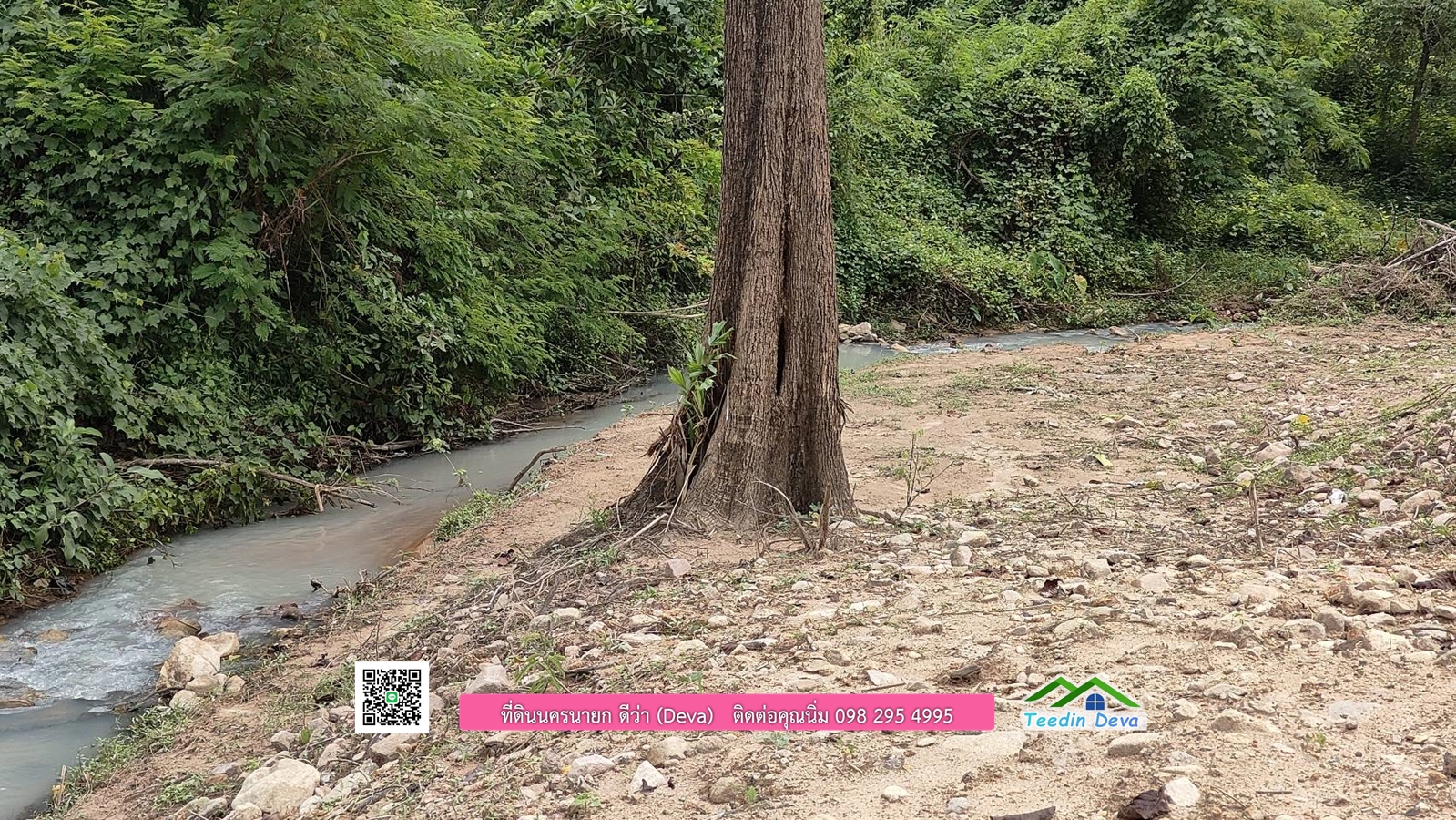 🌳 ขายที่ดินนครนายก 1 ไร่ 80 ตรว อยู่ด้านในหุบเขา มีวิวภูเขาสวยๆ ด้านหน้าเป็นลำธารเล็กๆ ต.เขาเพิ่ม อ.บ้านนา จ.นครนายก โฉนดครุฑแดง