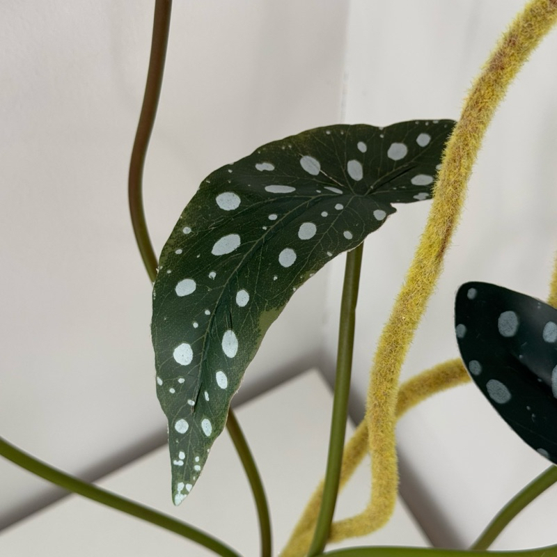 [พร้อมส่ง] Jnihouse : กิ่งบีโกเนียลายจุด (Artificial Begonia Maculata Tree)
