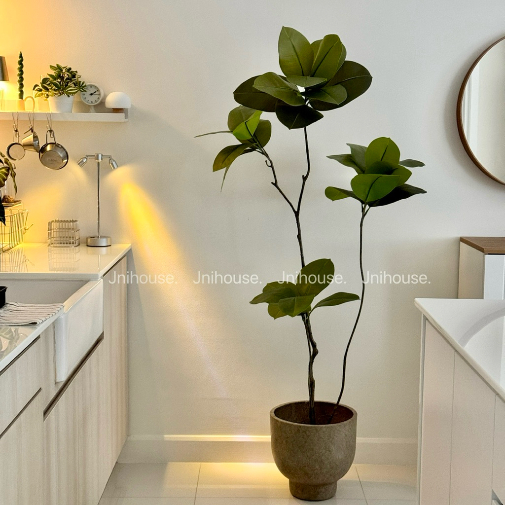 [พร้อมส่ง] Jnihouse : ต้นยางอินเดียประดิษฐ์ ขนาดสูง 160 cm (Tree)