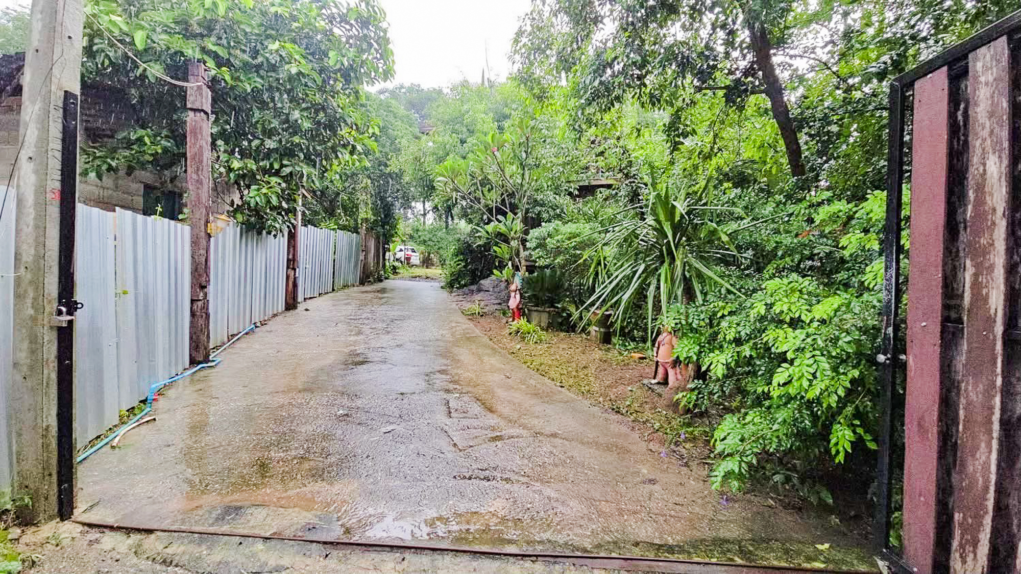 🌿 บ้านสวนเชินเขา 1 ไร่ 1 งาน วิวสวย ต.นาหินลาด อ.ปากพลี จ.นครนายก 🌿