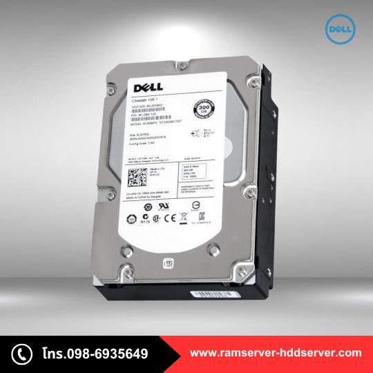 Harddisk Server Dell 300GB 3.5 15K 6G SAS HDD Server
