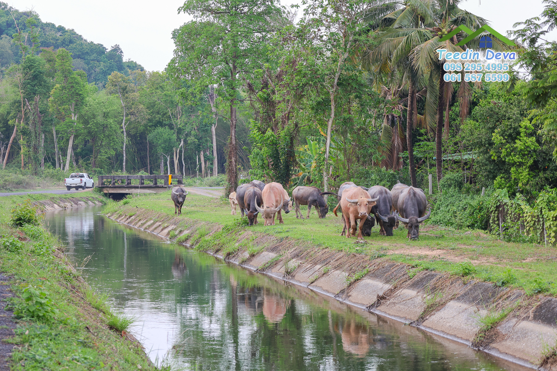 🌿 “มุมสงบแห่งภูกะเหรี่ยง” ที่ดินวิวเขา ริมคลองน้ำใส 297 ตรว. ต.หินตั้ง อ.เมือง จ.นครนายก สำเนา