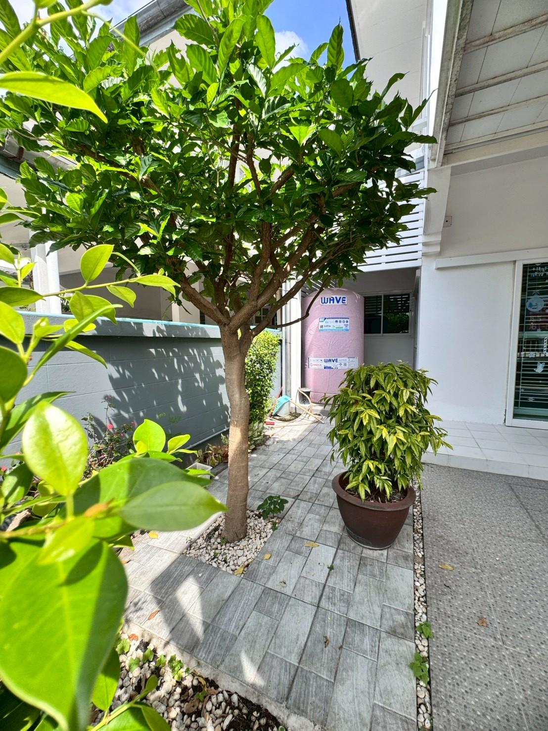 ขายบ้านเดี่ยว หมู่บ้าน บ้านฟ้าลากูน คลอง 2 ต่อเติมเต็มพื้นที่ (N.1909)