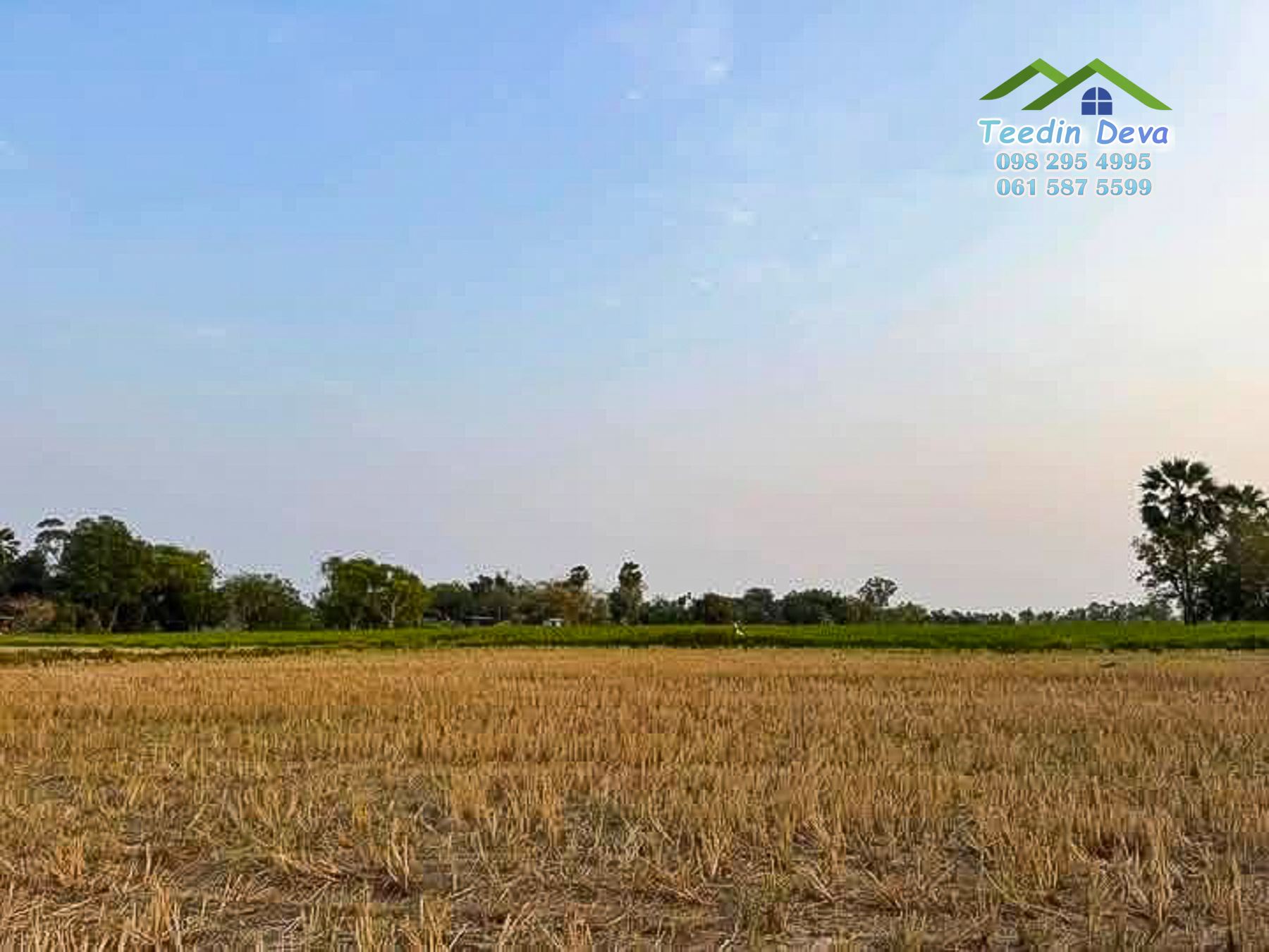 ขายที่ดินนครนายก 1 ไร่ ราคาถูก ลดราคาด่วนๆ ขายไร่ละ 9.5 แสน ต.ศรีนาวา อ.เมือง จ.นครนายก