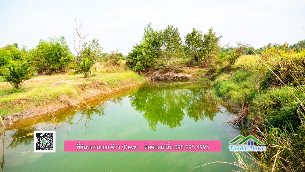 ขายที่ดิน สวนปาล์ม แปลงสวย ทำเลดี เนื้อที่ 11-3-8 ไร่ ให้ผลผลิตแล้ว อ.ปากพลี จ.นครนายก