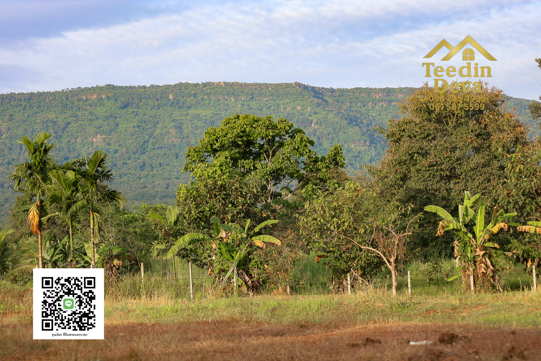 💭 ตื่นเช้าลมเย็น เห็นเขาใหญ่ตรงหน้า... ที่ดินสวนผลไม้ 2 ไร่ 3 งาน ต.นาหินลาด อ.ปากพลี จ.นครนายก