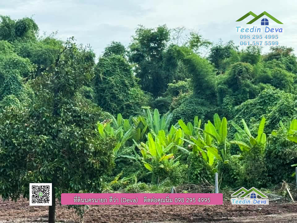 ที่ดินนครนายก ติดแม่น้ำ ที่ดินสวย ทำเลดี เหมาะกับสร้างบ้านสวนริมน้ำ เนื้อที่ 1 ไร่ 3 งาน 22 ตารางวา ต.ศรีนาวา อ.เมือง จ.นครนายก