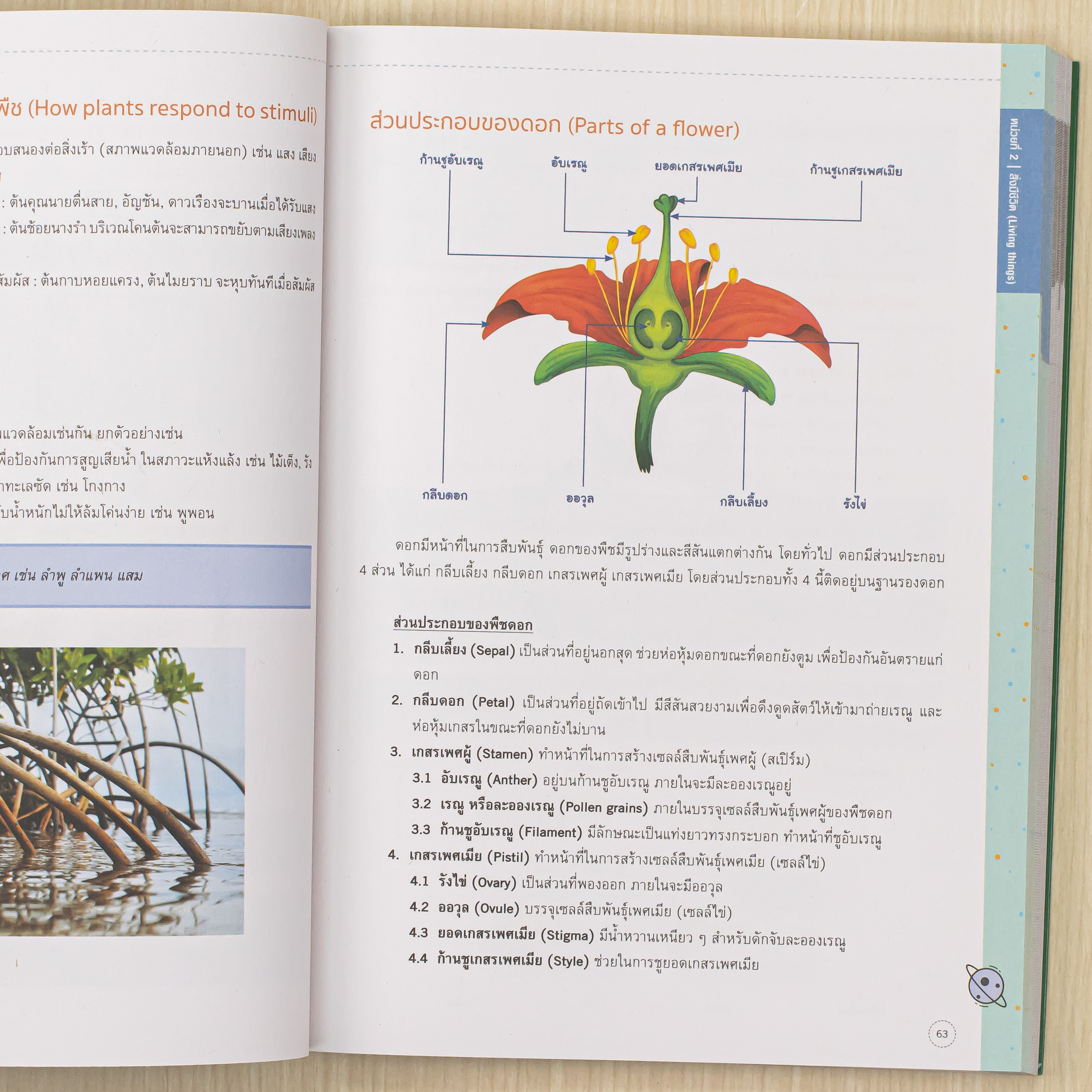 Infopress (อินโฟเพรส) ติวเข้มหลักคิดพิชิตสอบ วิทยาศาสตร์ ป.4 และ TEDET [ฉบับปรับปรุง ครั้งที่ 2] มั่นใจเต็ม 100 - 76392