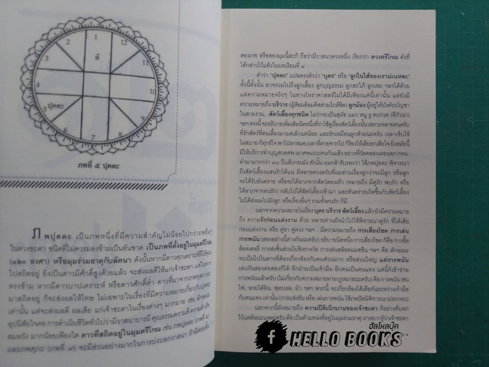 โหราศาสตร์ ระบบพลูหลวง เล่ม ๑-๓, วิจารณ์ดวงชะตา ระบบพลูหลวง