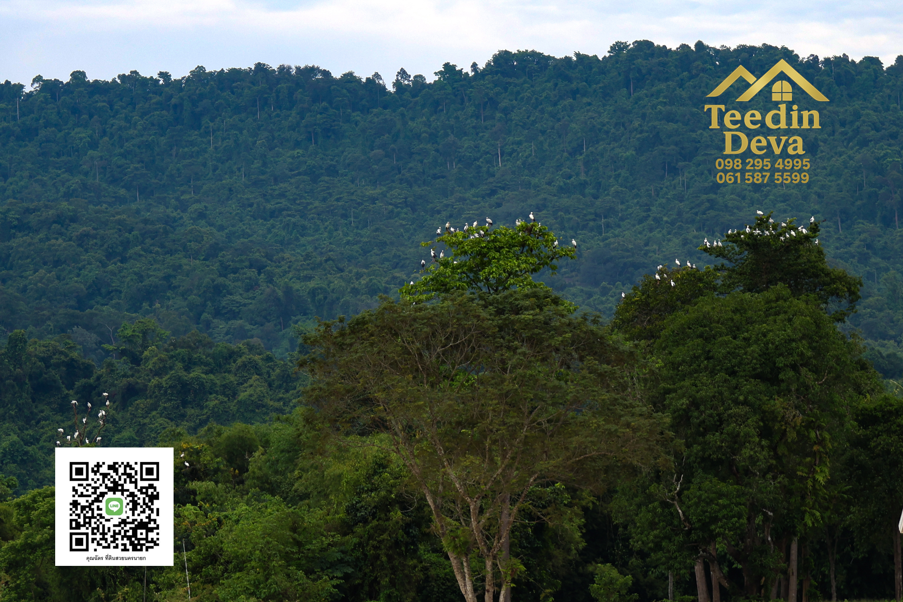 ตื่นเช้ามาพร้อมวิวเขา สูดอากาศบริสุทธิ์ได้ทุกวัน ที่นี่ เนื้อที่ 1 ไร่ ... ต.สาริกา นครนายก