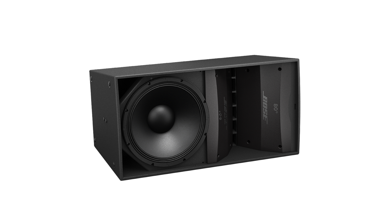 BOSE ArenaMatch AM10/60 IP55 Rated Outdoor Array Loudspeaker