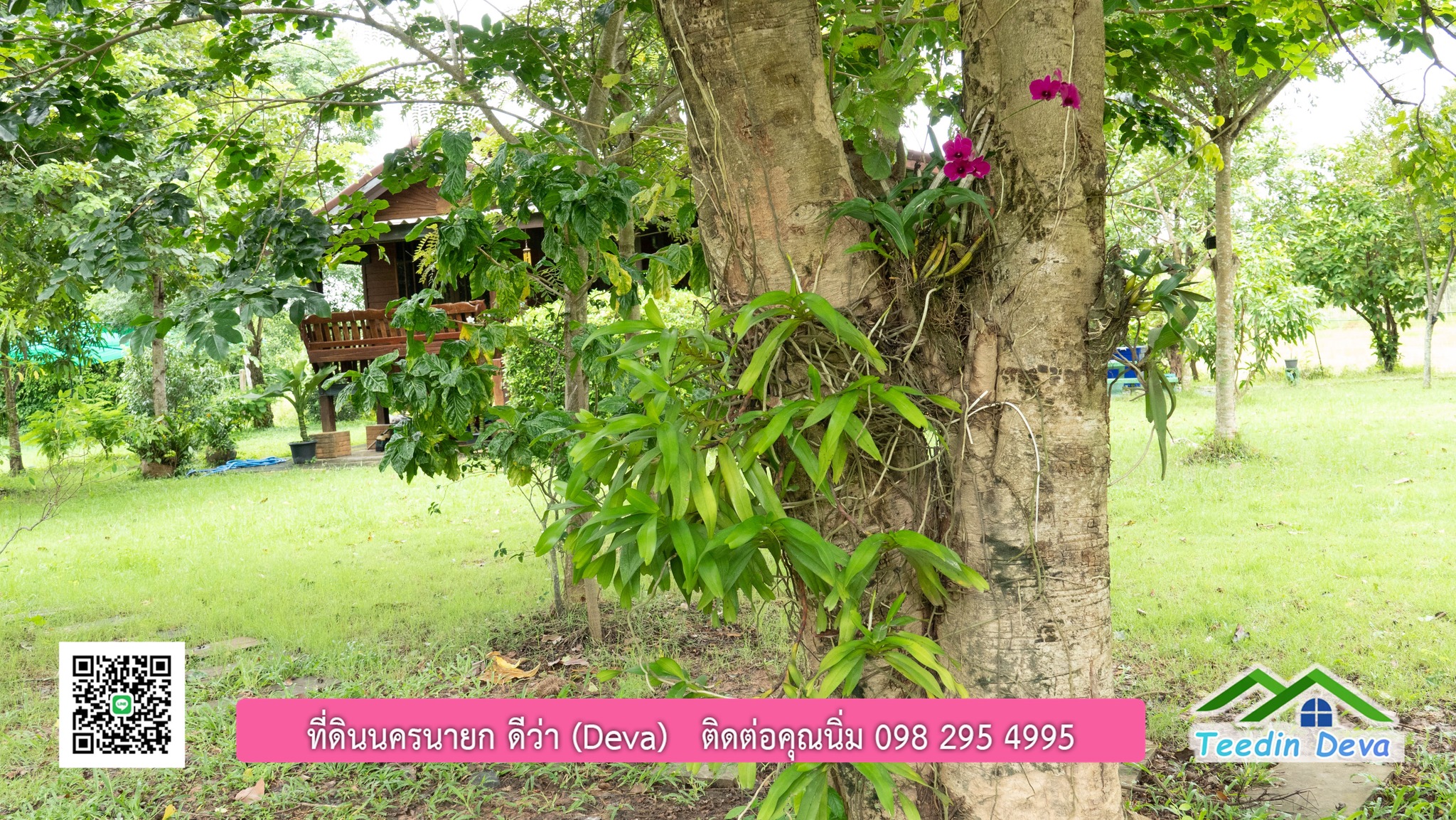 ขายบ้านสวน กลางนา วิวเขาใหญ่ ต.สาริกา อ.เมือง จ.นครนายก