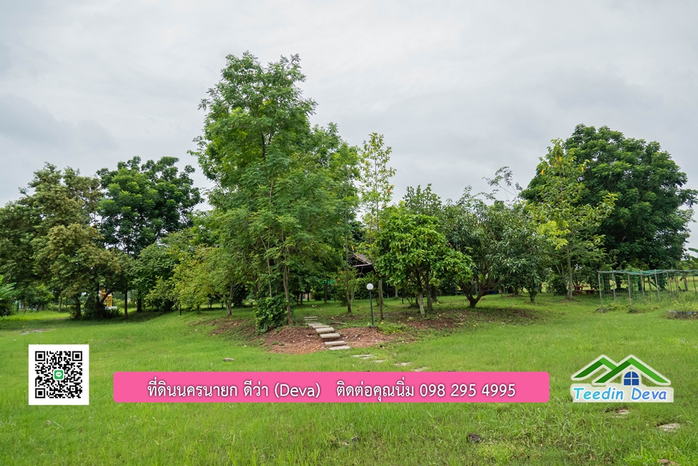 ขายบ้านสวน กลางนา วิวเขาใหญ่ ต.สาริกา อ.เมือง จ.นครนายก