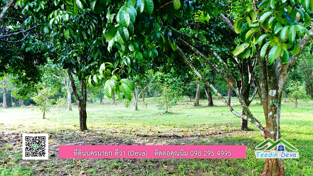 (ðī āļāļīāļāļāļēāļĢāļāļēāļĒ) āļāļĩāđāļāļīāļāļāļāļĢāļāļēāļĒāļ āļāļīāļāļĨāļģāļāļēāļĢ āļāļĨāļđāļāļāļĨāđāļĄāđ 8 āđāļĢāđ 2 āļāļēāļ āļ.āļŠāļēāļĢāļīāļāļē āļ.āđāļĄāļ·āļāļ āļ.āļāļāļĢāļāļēāļĒāļ