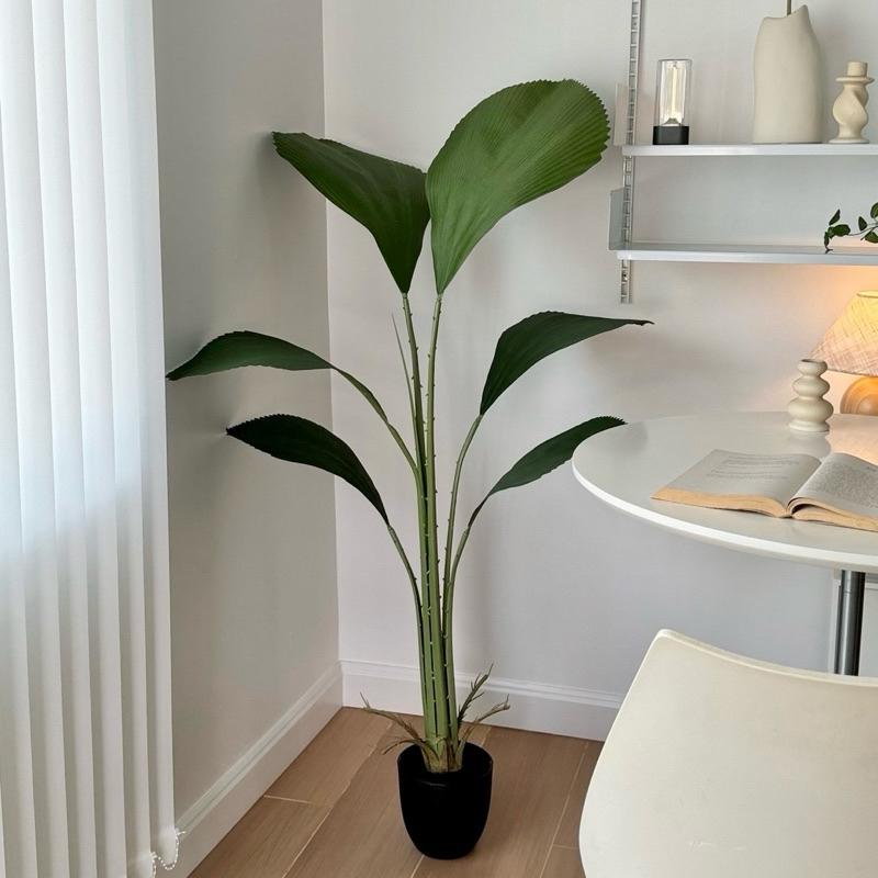 [พร้อมส่ง] Jnihouse : ต้นปาล์มใบพัด ต้นไม้ประดิษฐ์สูง 130 cm (Tree)