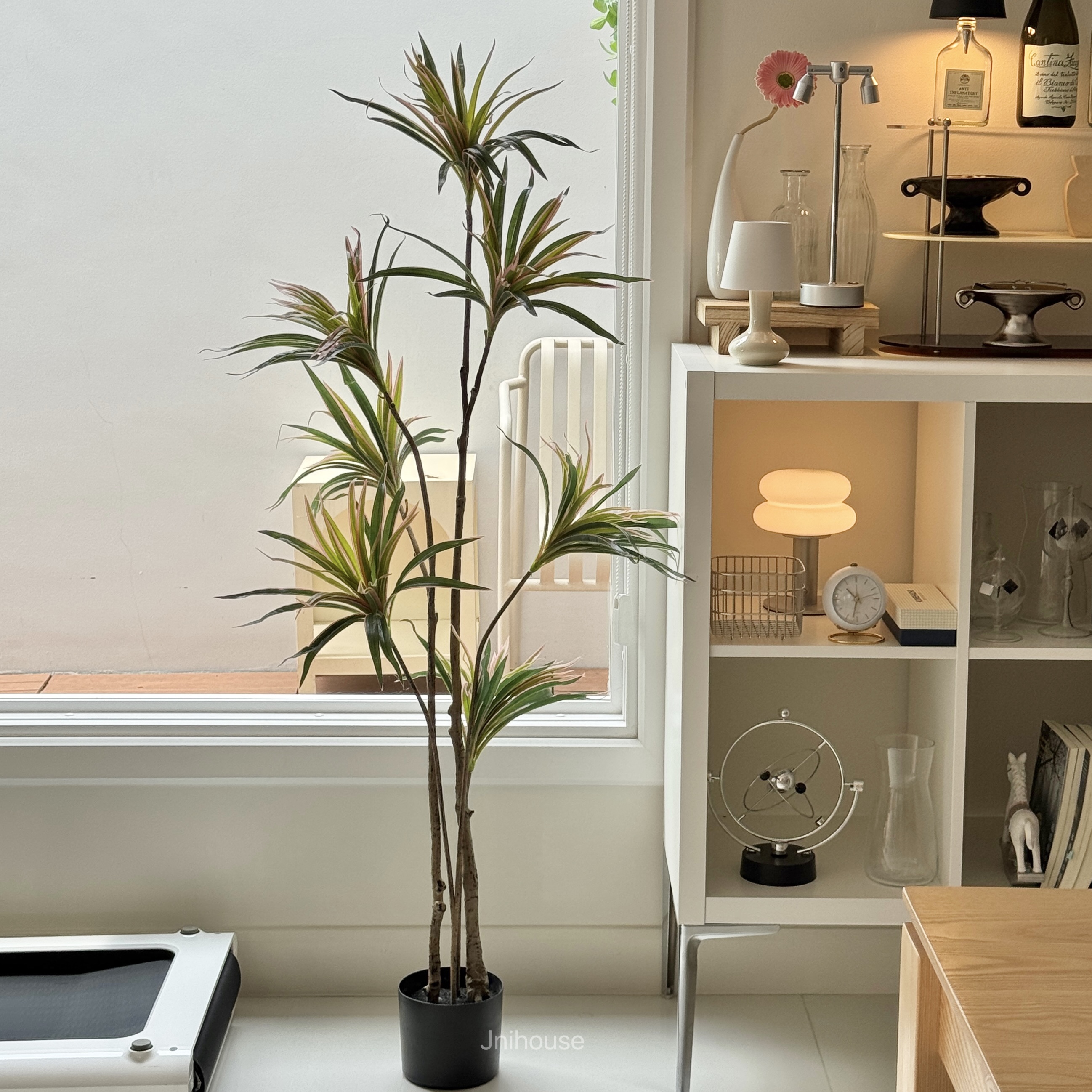 [พร้อมส่ง] Jnihouse : ต้นเข็มสามสีประดิษฐ์ (Madagascar Dragon Tree)