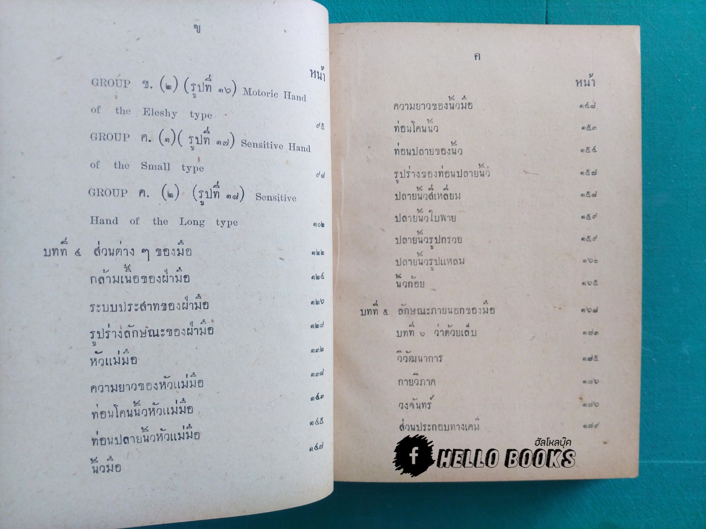 ตำราดูลายมือ และวิจารณ์ทางจิต