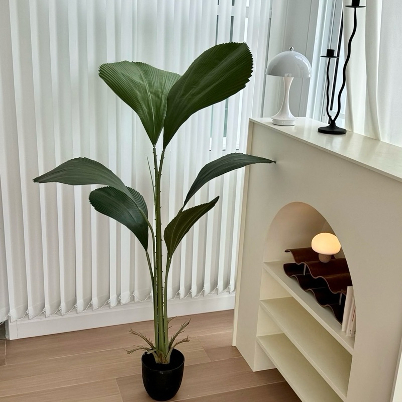 [พร้อมส่ง] Jnihouse : ต้นปาล์มใบพัด ต้นไม้ประดิษฐ์สูง 130 cm (Tree)