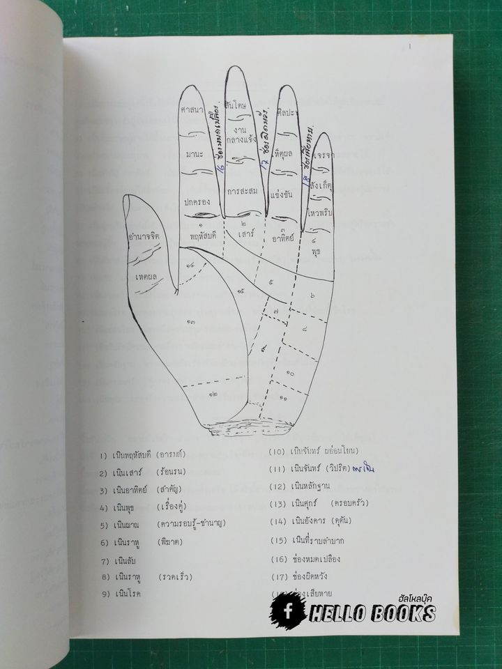 วิชาการอ่าน เคล็ดลับเส้นลายมือ