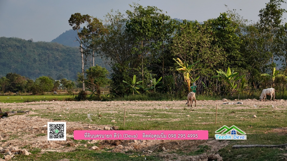 ที่ดินนครนายก วิวทุ่งนาต้นยางสวยๆ ขนาด 4 ไร่ ราคาไร่ละ 1.5 ล้าน ต.เขาเพิ่ม อ.บ้านนา จ.นครนายก