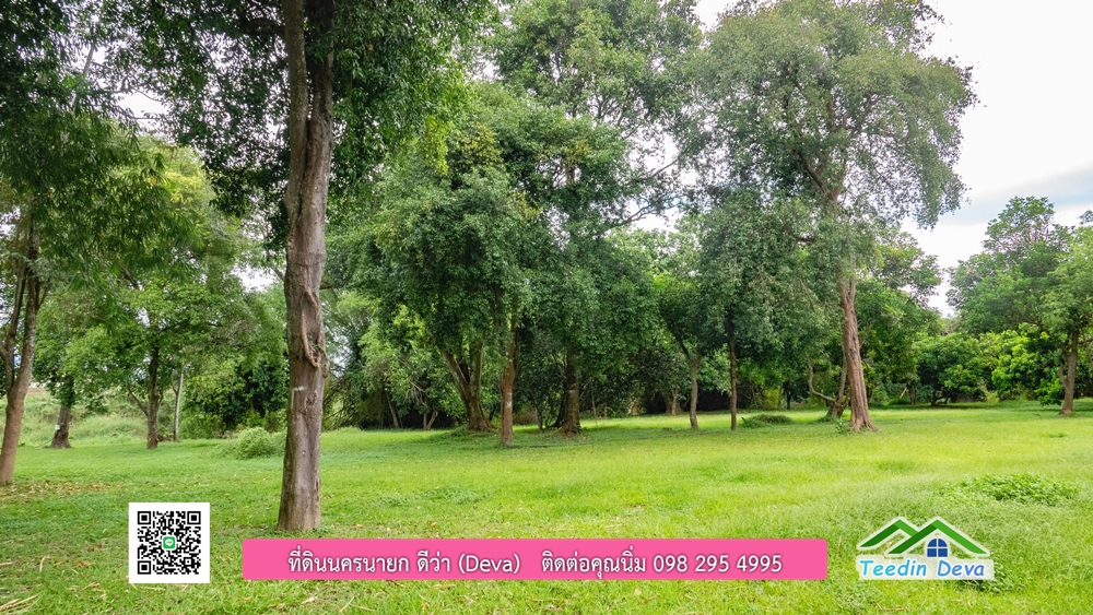 ที่ดินนครนายก ติดแม่น้ำ 14 ไร่ พื้นที่ติดแม่น้ำ 400 เมตร ชมลำธารสวยๆ บรรยากาศสบายๆ ต.สาริกา อ.เมือง จ.นครนายก