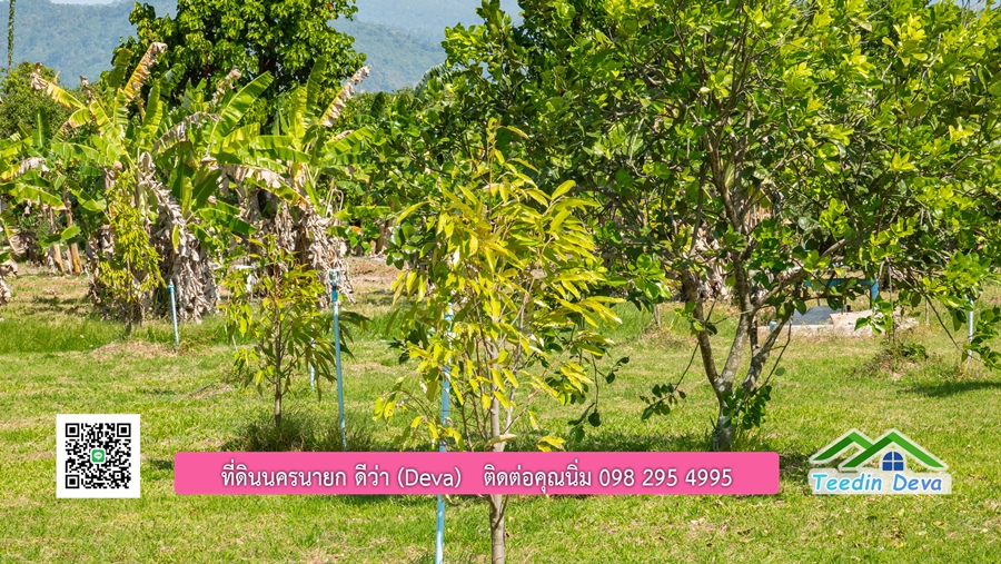 (ติดจอง) ที่ดินนครนายก บ้านสวน พร้อมที่ดิน ขนาด 1 ไร่ 1 งาน วิวภูเขาสวย อยู่ใกล้เขื่อนขุนด่านปราการชล