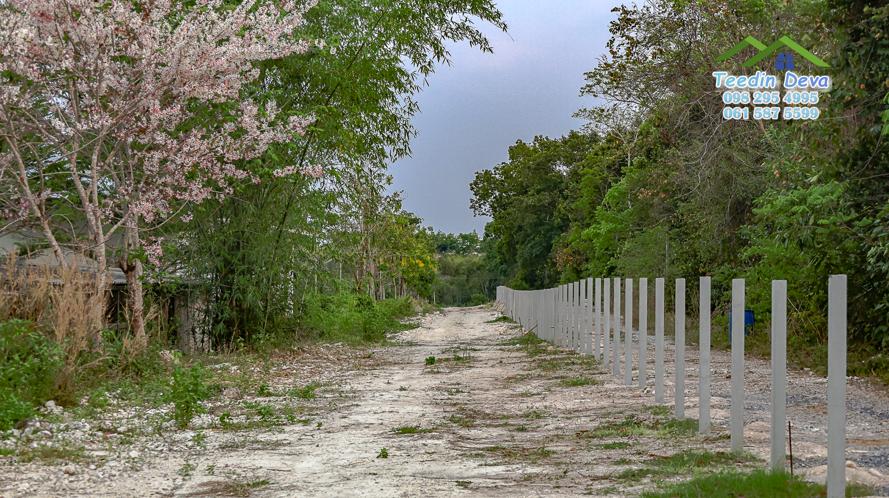 (ปิดการขาย) ที่ดินนครนายก ติดภูเขา ลำธารธรรมชาติไหลผ่านแปลง เนื้อที่ 10 ไร่ 1 งาน ต. สาริกา อ. เมือง จ.นครนายก