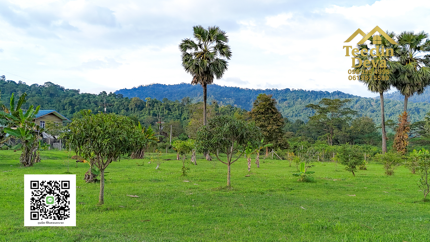 🌿 เริ่มต้นความสุขเล็ก ๆ ด้วยที่ดินแปลงสวย วิวเขา กลางธรรมชาติ ต.สาริกา อ.เมือง จ.นครนายก 💚