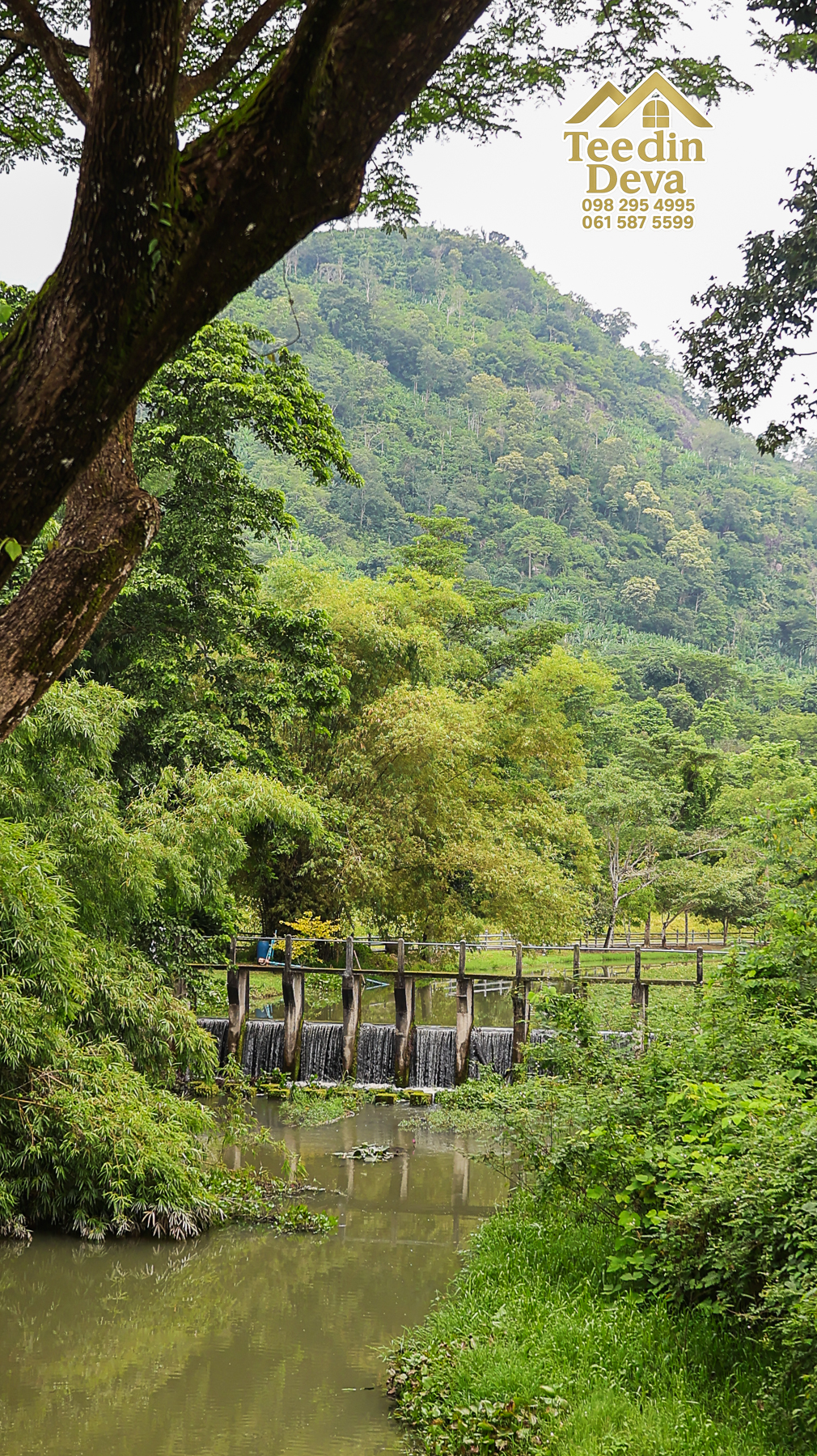 ที่ดินติดภูเขา เนินสวย พร้อมพัฒนารีสอร์ทหรือพูลวิลล่า 1 ไร่ ต.เขาพระ อ.เมือง จ.นครนายก 🏡