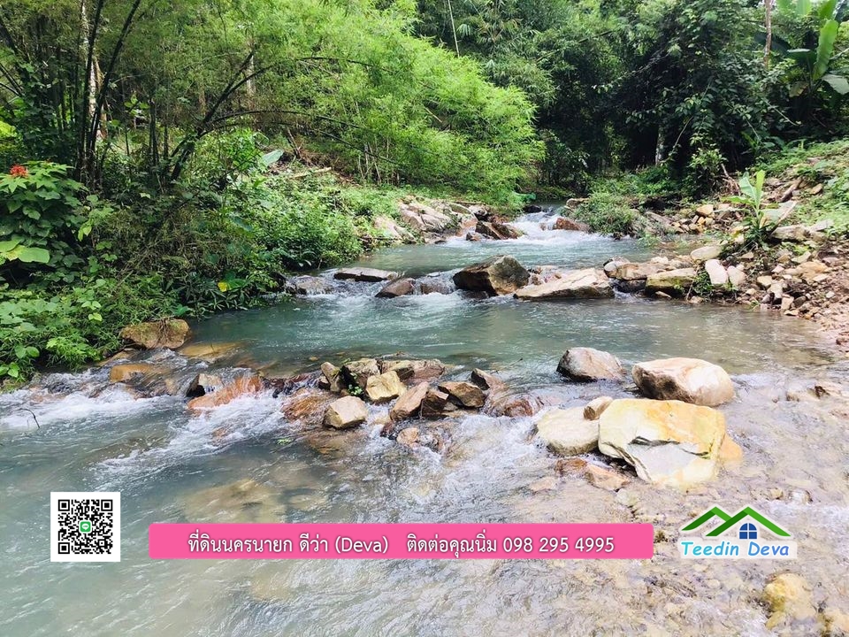 ที่ดินนครนายก ติดลำธารสวยๆ ที่ดินแปลงสวย 6 ไร่ ทำเลดี ในอ้อมกอดของขุนเขา ด้านหลังติดลำธารธรรมชาติ