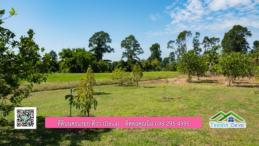 (ติดจอง) ที่ดินนครนายก บ้านสวน พร้อมที่ดิน ขนาด 1 ไร่ 1 งาน วิวภูเขาสวย อยู่ใกล้เขื่อนขุนด่านปราการชล