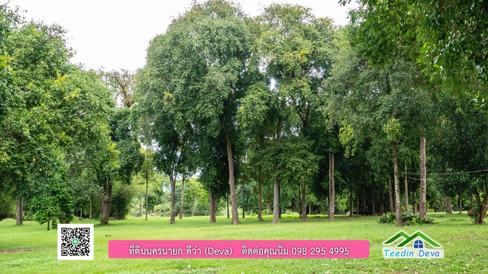 ที่ดินนครนายก ติดแม่น้ำ 14 ไร่ พื้นที่ติดแม่น้ำ 400 เมตร ชมลำธารสวยๆ บรรยากาศสบายๆ ต.สาริกา อ.เมือง จ.นครนายก