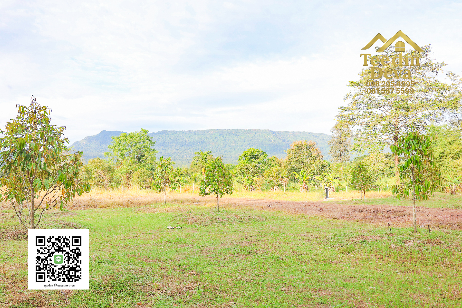 💭 ตื่นเช้าลมเย็น เห็นเขาใหญ่ตรงหน้า... ที่ดินสวนผลไม้ 2 ไร่ 3 งาน ต.นาหินลาด อ.ปากพลี จ.นครนายก