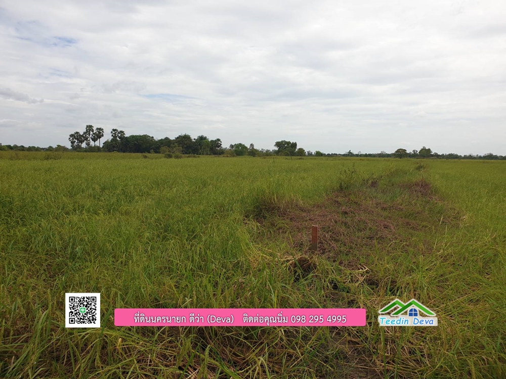 ที่ดินแปลงสวย ราคาถูก เนื้อที่ 33-1-67 ไร่ ราคาไร่ละ 250,000 บาท การเดินทางสะดวก อยู่ใกล้จุดชมนกเหยี่ยวหูดำ อ.ปากพลี จ.นครนายก