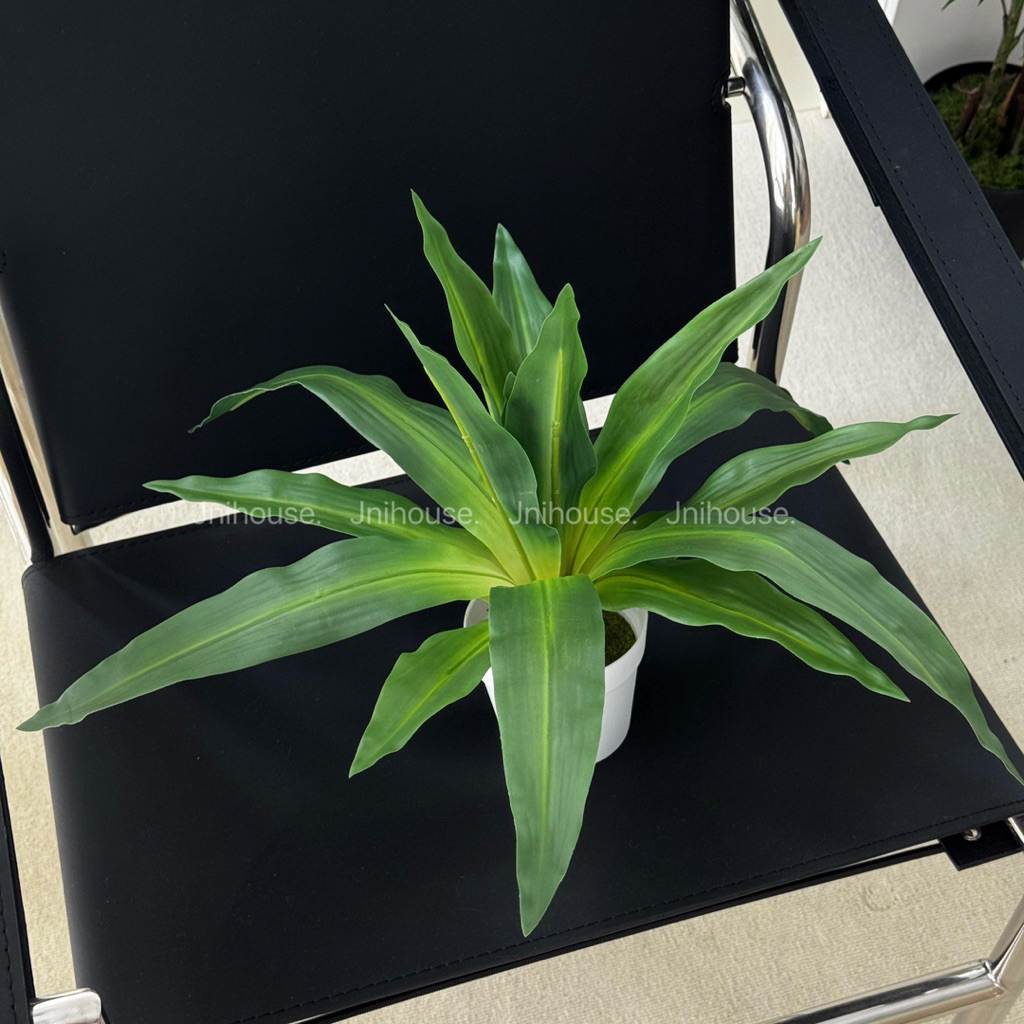 [พร้อมส่ง] Jnihouse : ต้นวาสนา ต้นไม้ประดิษฐ์ (Tree)