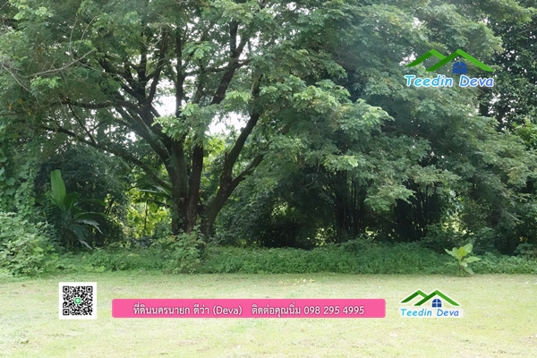 🌳 ที่ดินแปลงสวย 1 ไร่ 21 ตร.ว ใกล้กับแม่น้ำนครนายก บรรยากาศดี ร่มรื่น มีต้นไม้ใหญ่ในแปลง โฉนดครุฑแดง