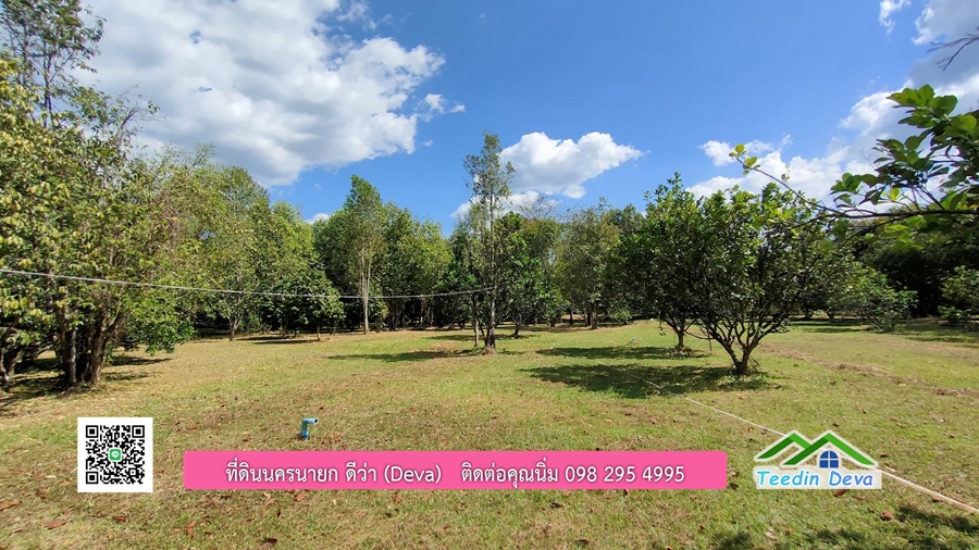 บ้านสวนผลไม้ ใกล้กับแหล่งท่องเที่ยว เจ้าของปลูกมะยงชิด ส้มโอ ต้นกฤษณา 20 ไร่ อยู่ติดถนนสายท่องเที่ยว สาริกา-นางรอง ต.สาริกา อ.เมือง จ.นครนายก