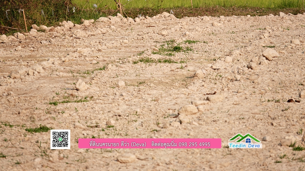 ที่ดินนครนายก วิวทุ่งนาต้นยางสวยๆ ขนาด 4 ไร่ ราคาไร่ละ 1.5 ล้าน ต.เขาเพิ่ม อ.บ้านนา จ.นครนายก