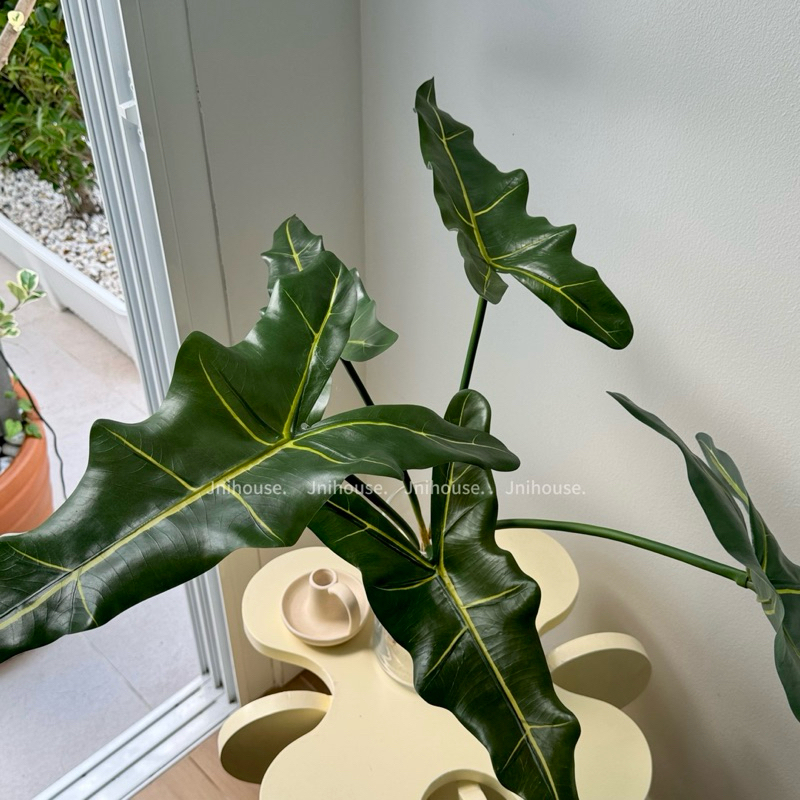 [พร้อมส่ง] Jnihouse : กิ่งไม้ประดิษฐ์ อโลคาเซีย ซาเรียน (หูช้าง)(Tree)