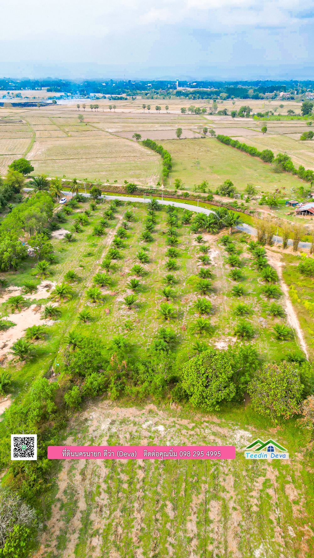 ขายที่ดิน สวนปาล์ม แปลงสวย ทำเลดี เนื้อที่ 11-3-8 ไร่ ให้ผลผลิตแล้ว อ.ปากพลี จ.นครนายก